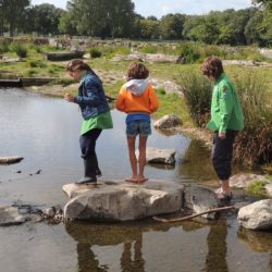 Avontuur in de natuur