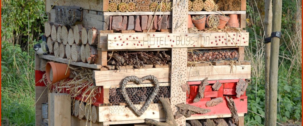 Natuurwerkdag 2018 - Stadsboerderij  de Herweijerhoeve