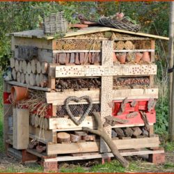 Natuurwerkdag 2018 - Stadsboerderij  de Herweijerhoeve