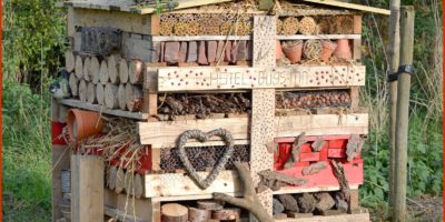 Natuurwerkdag 2018 – Stadsboerderij de Herweijerhoeve Natuurwerkdag 2018 – Stadsboerderij de Herweijerhoeve