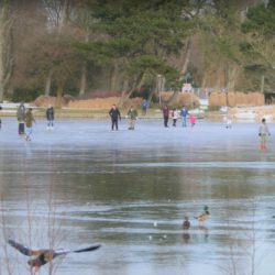 Winterse taferelen door de lens van Rick Baron