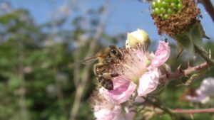 Insectenhuis maken @ Stadsboerderij de Herweijerhoeve