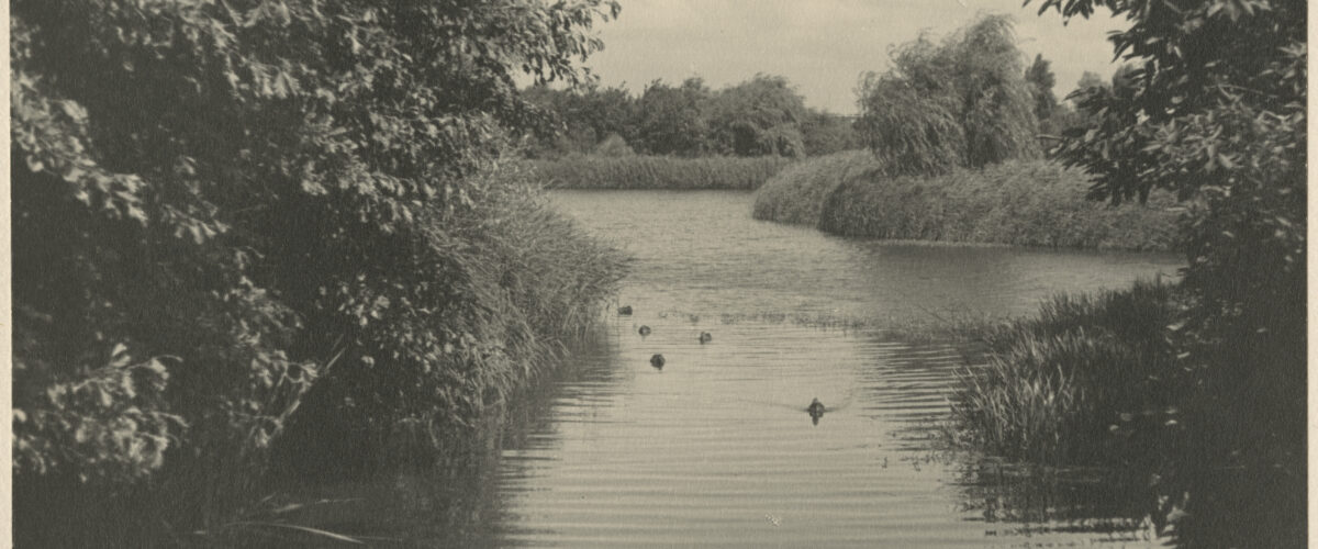 De Haagsche Vrijwillige Reddings Brigade in het Zuiderpark