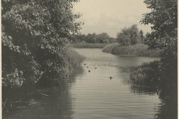 De Haagsche Vrijwillige Reddings Brigade in het Zuiderpark