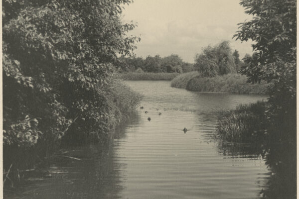 De Haagsche Vrijwillige Reddings Brigade in het Zuiderpark