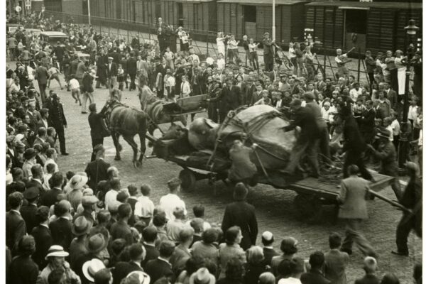 Het verhaal van de olifant in de vijver