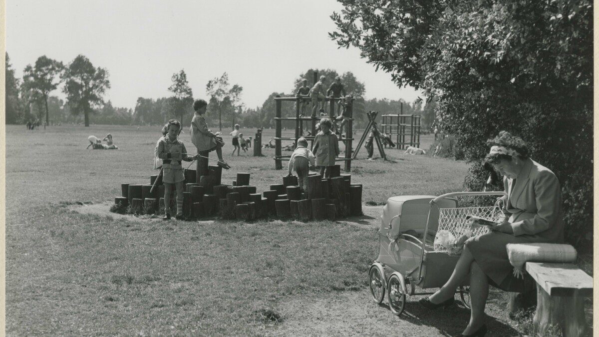 Het Zwanenmeer van Tschaikowsky