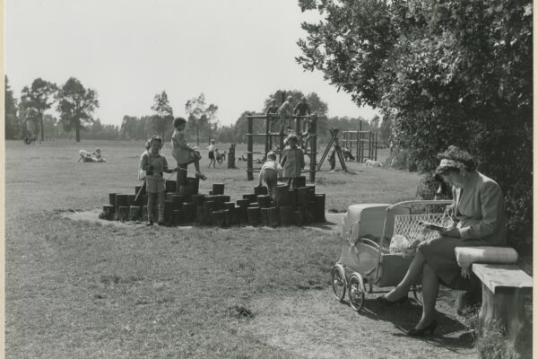 Het Zwanenmeer van Tschaikowsky