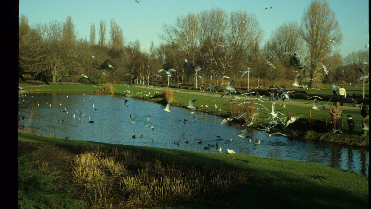 Ode aan het Zuiderpark