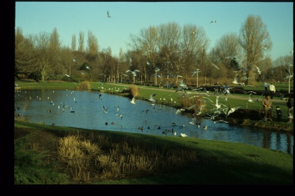 Ode aan het Zuiderpark