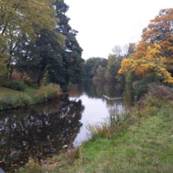 Als die bomen van het Zuiderpark konden praten…