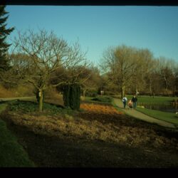 Zuiderparkjes - een gedicht