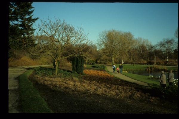 Zuiderparkjes – een gedicht