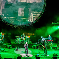 Zuiderpark Live: PINK PROJECT