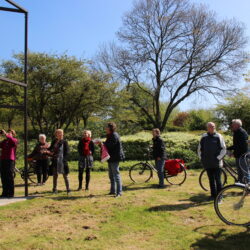 Verhalen over beelden in het park