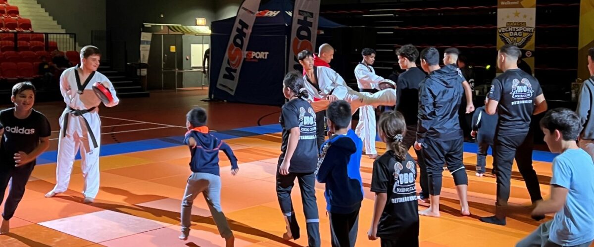 Haagse Vechtsportdag