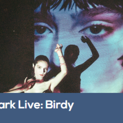 Zuiderpark Live: Birdy