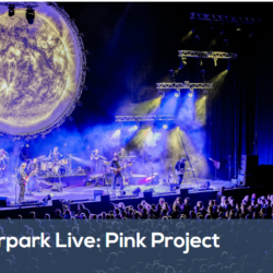 The Pink Project