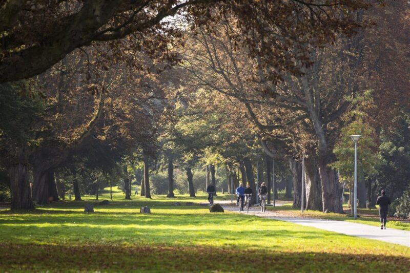 Gemeente Den Haag zoekt voor donderdag 29 augustus enthousiaste figuranten voor een promotievideo én fotoshoot over het Zuiderpark