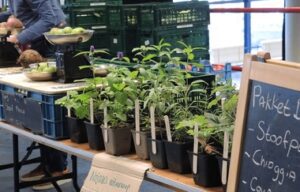 Eetbaar park Zuiderpark