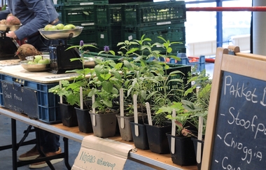 Eetbaar park Zuiderpark