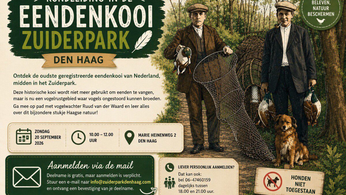 Rondleiding in de Eendenkooi Zuiderpark Den Haag