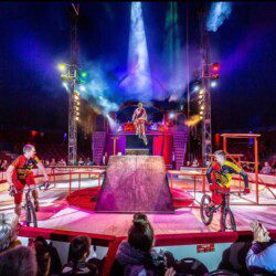 Circus UP brengt acrobatiek, spektakel en familieplezier naar het Zuiderpark